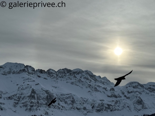 Vol au dessus des Dents Blanches / 04.01.2024